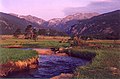 Moraine Park meadow in RMNP