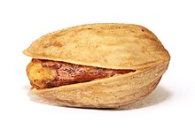 A tan, roasted pistacho shell with the seed visible through a gap in the shell