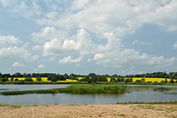 Raudna artificial lake