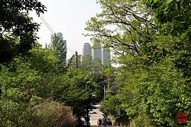 九龙隧道口登山道