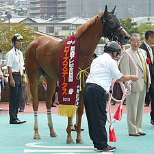 2010年冠軍「活躍生命」