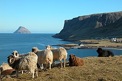 克瓦尔巴峡湾，背景为小迪门岛