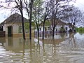 Flood in Jaša Tomić in 2005