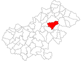 Location in Satu Mare County