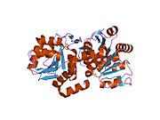 2or3: Pre-oxidation Complex of Human DJ-1