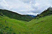 Green meadows below Lawala Pass