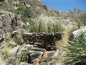 Lower dam in Pima Canyon