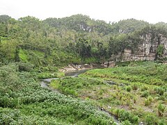 Manatí River and its canyon from Mata de Plátano Bridge in Hato Viejo, Ciales.