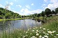 Stadtkyll (Eifel); Ferienpark Wirfttal