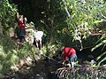 Kaikorai Valley College students study the stream flow.