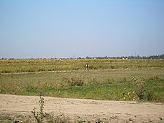 米粮川乡外的田里，在楚河左边