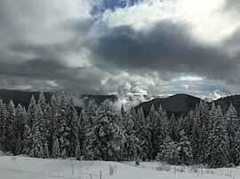 Ilgaz Mountains