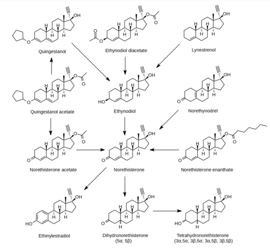 Norethisterone structures