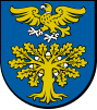 Coat of arms of Sokołów Małopolski