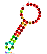 CRISPR-DR9: Secondary structure taken from the Rfam database. Family RF01322.