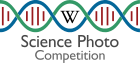 Russian Science Photo Competition 2023