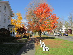 Main Street in Newtown