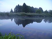 Peene river near Loitz