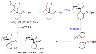 Scheme 8. Halo-Prins reaction