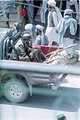 taliban in a jeep, herat july 2001.taken secretly from my hotel window, between the curtains. generally i didn't see a lot of (heavily) armed taliban, so i couldn't resist taking a photo when a jeep with taliban and rocket launchers stopped right in front of my hotel.