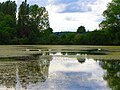 One of several fishing lakes