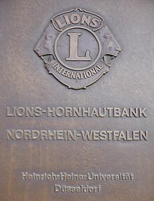 Lions logo