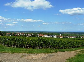 A general view of Mittelwihr, from the vineyard