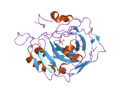 2nxs: Structural and kinetic effects of hydrophobic mutations in the active site of human carbonic anhydrase II