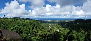 Panorama from Aʻoloau, facing south