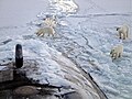 在距离北极点二百八十里的地方，三只北极熊发现了USS潜艇（英语：USS Honolulu (SSN-718)）