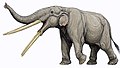 Image 7Stegotetrabelodon is an extinct genus of primitive elephant with gomphothere-like anatomical features from the Late Miocene to Early Pliocene of Africa and Eurasia