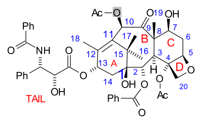 Taxol numbering scheme