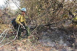 Prineville Hotshot Beth Daubson Sprays Hotspot.