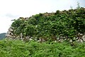 Stone wall of the Honamaru compound