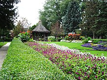 Buxton Park Arboretum