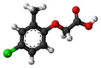 Ball-and-stick model of the MCPA molecule