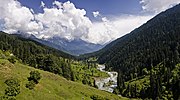 The Pahalgam valley in Jammu and Kashmir is covered with a temperate coniferous forest.[1]