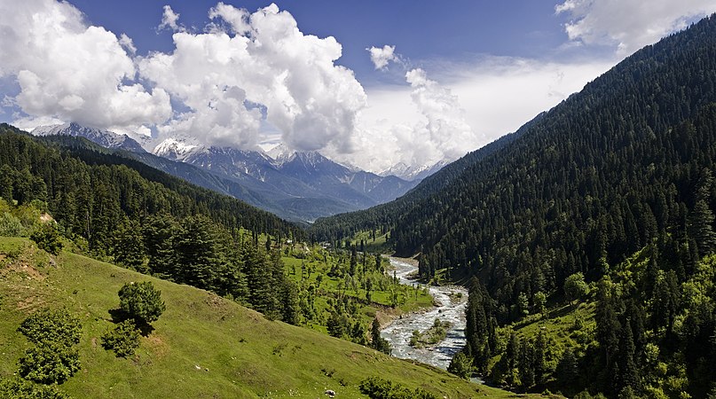 图为帕哈尔加姆附近的里德尔山谷。这个喜马拉雅山脉的山谷位于印度查谟和克什米尔区克什米尔山谷的东北部。