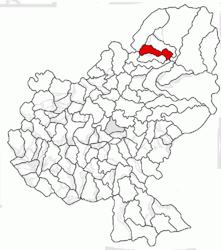 Location in Mureș County