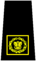 National Sergeant-Major