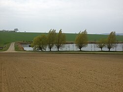 A fishpond in Želeč