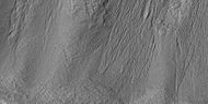 HiWish计划下高分辨率成像科学设备显示的罗斯陨击坑中众多小冲沟的近景图，注：这是前一幅图像的放大版。