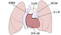 2019年5月31日 (五) 15:59版本的缩略图