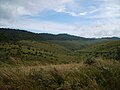 upland pasture in Horton Plains Valley, Horton Plains National Park in central highlands of Sri Lanka