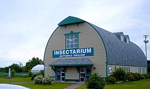 Reidville is home to the Newfoundland Insectarium