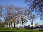 Island Gardens