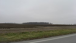Fields in eastern Liberty Township