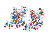 1o9l: SUCCINATE:COENZYME-A TRANSFERASE (PIG HEART)