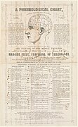 Phrenological chart by Madame Marie Sibley