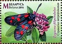 Belarusian postage stamp showing a butterfly on a flower